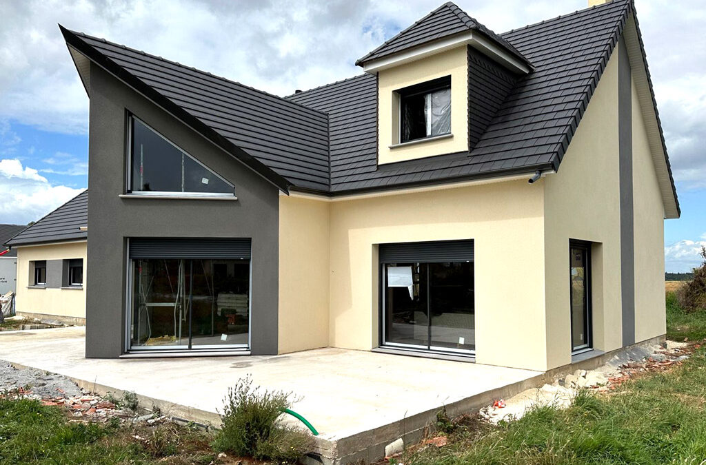 Ravalement WEBER Lite G 015 & 609